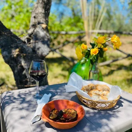 Vakantieboerderij Azzarone Vieste