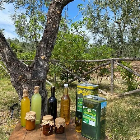 Vakantieboerderij Azzarone Vieste