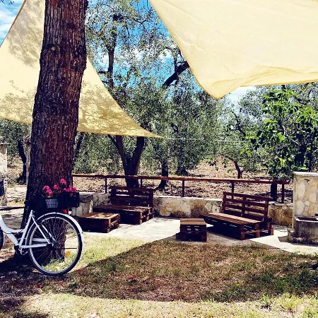 Azzarone * فيستَ