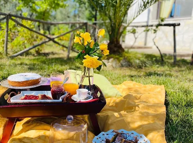 阿扎罗讷农家乐 *